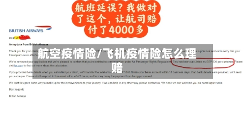 航空疫情险/飞机疫情险怎么理赔