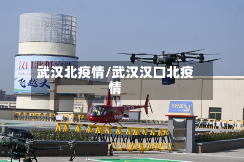 武汉北疫情/武汉汉口北疫情