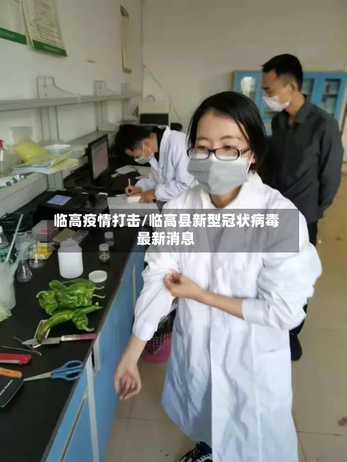 临高疫情打击/临高县新型冠状病毒最新消息