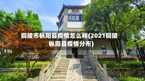 铜陵市枞阳县疫情怎么样(2021铜陵枞阳县疫情分布)-第3张图片