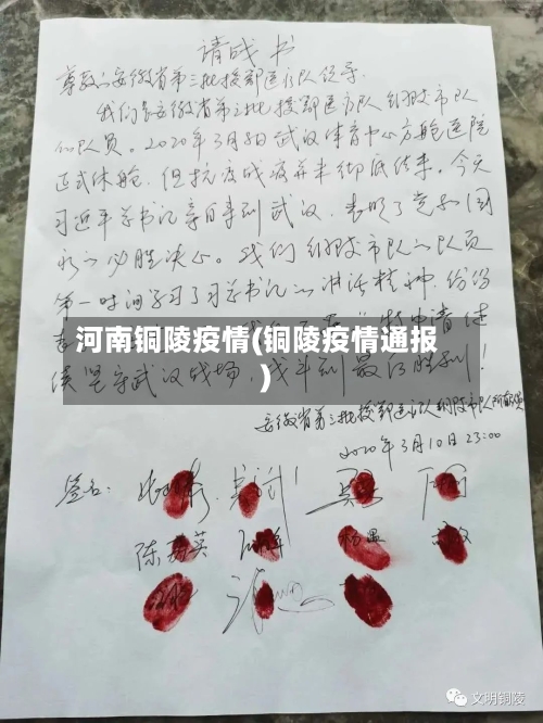 河南铜陵疫情(铜陵疫情通报)-第2张图片