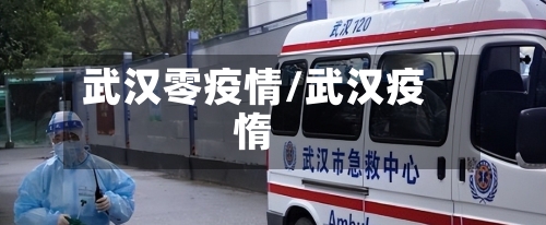 武汉零疫情/武汉疫惰-第2张图片