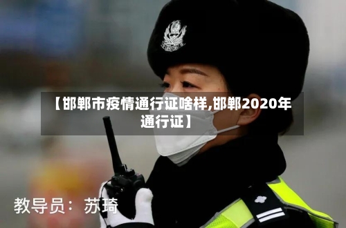 【邯郸市疫情通行证啥样,邯郸2020年通行证】-第3张图片