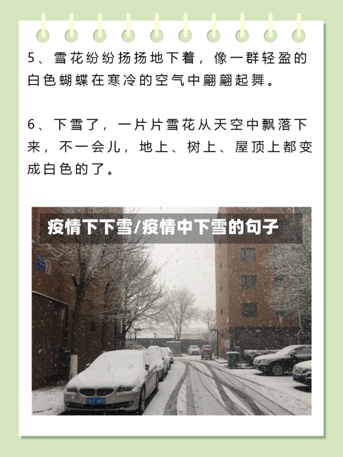 疫情下下雪/疫情中下雪的句子