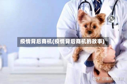 疫情背后商机(疫情背后商机的故事)-第2张图片