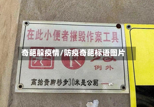 奇葩躲疫情/防疫奇葩标语图片