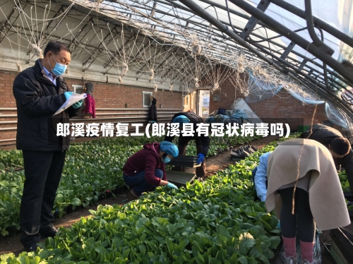 郎溪疫情复工(郎溪县有冠状病毒吗)-第3张图片