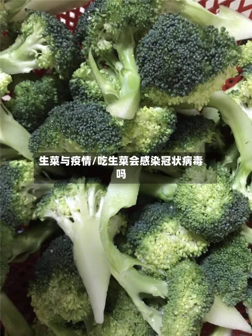 生菜与疫情/吃生菜会感染冠状病毒吗