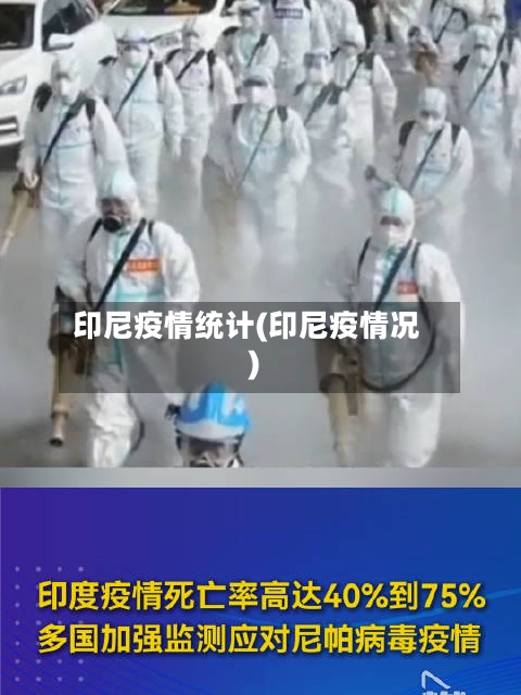 印尼疫情统计(印尼疫情况)-第3张图片