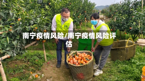 南宁疫情风险/南宁疫情风险评估