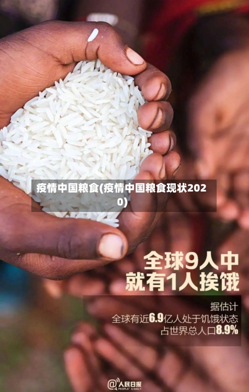 疫情中国粮食(疫情中国粮食现状2020)-第3张图片