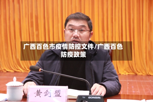 广西百色市疫情防控文件/广西百色防疫政策-第2张图片