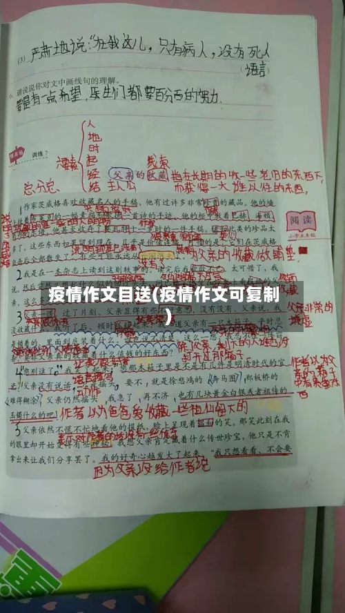 疫情作文目送(疫情作文可复制)