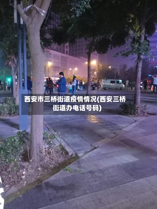 西安市三桥街道疫情情况(西安三桥街道办电话号码)-第2张图片