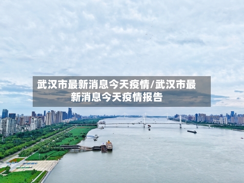 武汉市最新消息今天疫情/武汉市最新消息今天疫情报告-第2张图片