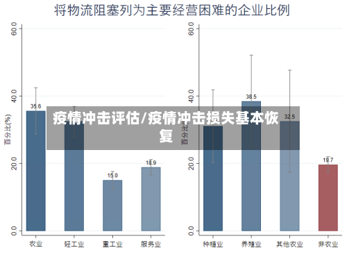 疫情冲击评估/疫情冲击损失基本恢复
