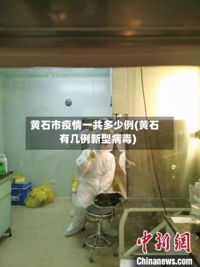黄石市疫情一共多少例(黄石有几例新型病毒)-第2张图片