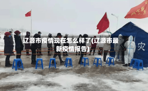 辽源市疫情现在怎么样了(辽源市最新疫情报告)