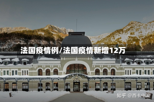 法国疫情例/法国疫情新增12万-第2张图片
