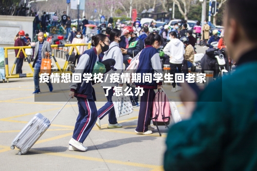 疫情想回学校/疫情期间学生回老家了怎么办