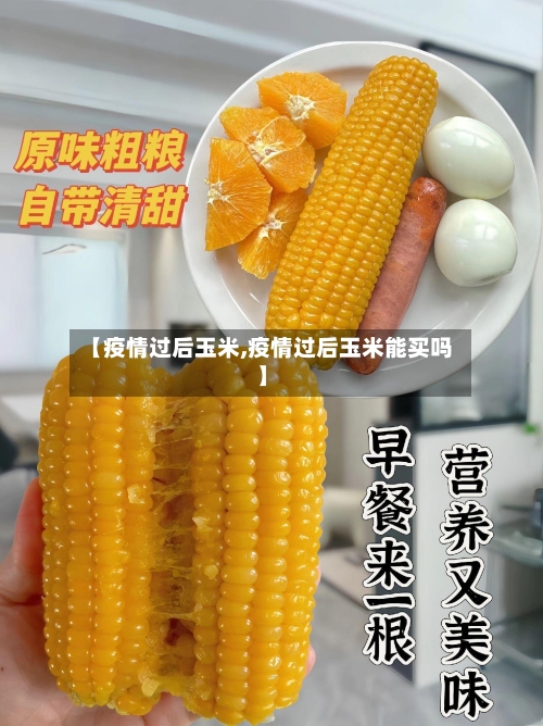 【疫情过后玉米,疫情过后玉米能买吗】