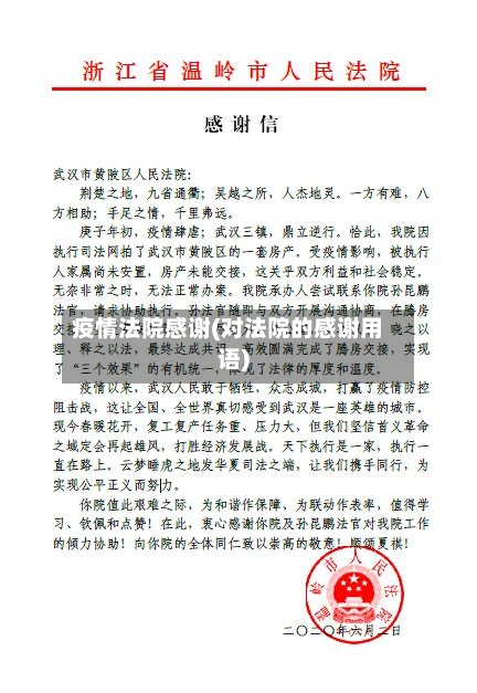 疫情法院感谢(对法院的感谢用语)-第2张图片