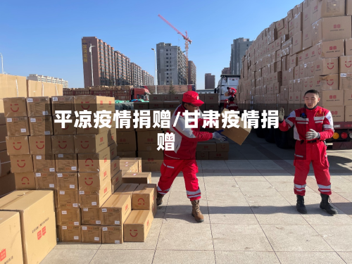 平凉疫情捐赠/甘肃疫情捐赠