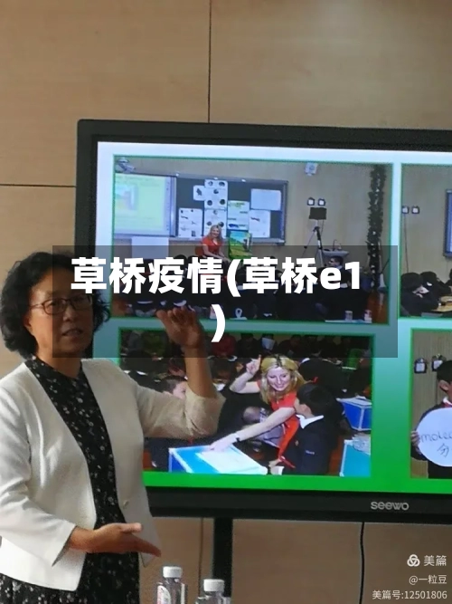 草桥疫情(草桥e1)-第2张图片