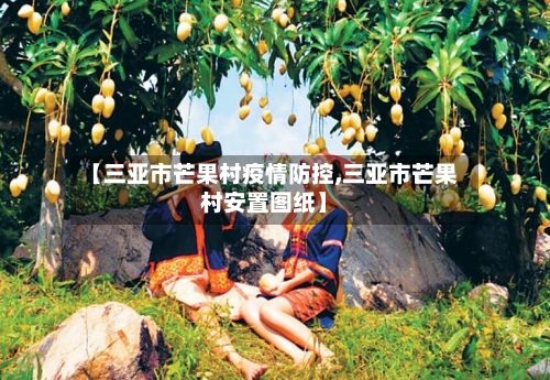 【三亚市芒果村疫情防控,三亚市芒果村安置图纸】-第3张图片