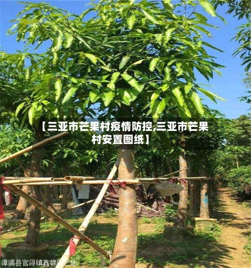 【三亚市芒果村疫情防控,三亚市芒果村安置图纸】-第2张图片