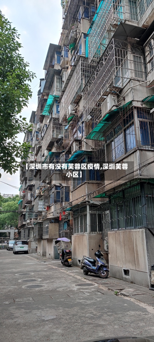 【深圳市有没有芙蓉区疫情,深圳芙蓉小区】