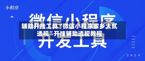 辅助开挂工具“微信小程序家乡大贰透视”开挂辅助透视教程