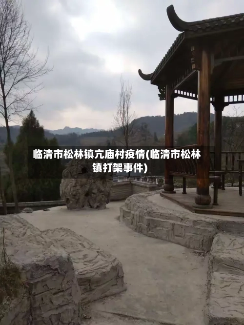 临清市松林镇亢庙村疫情(临清市松林镇打架事件)
