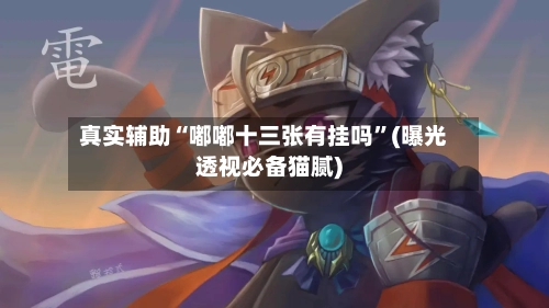 真实辅助“嘟嘟十三张有挂吗”(曝光透视必备猫腻)