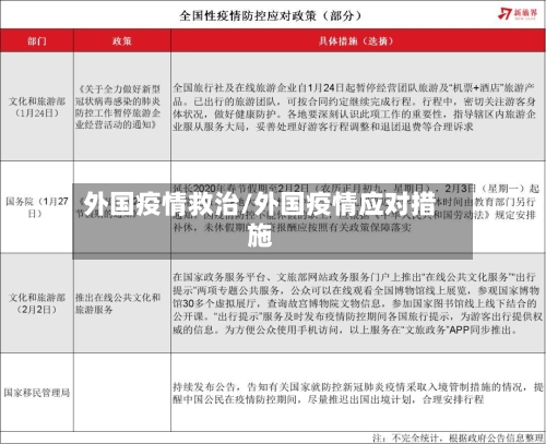 外国疫情救治/外国疫情应对措施