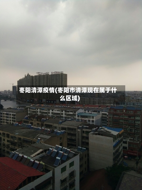 枣阳清潭疫情(枣阳市清潭现在属于什么区域)