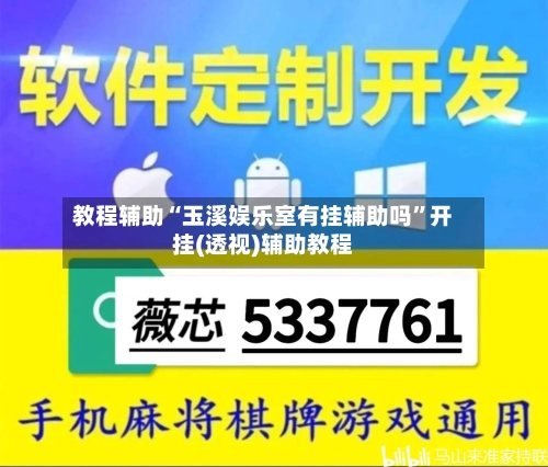 教程辅助“玉溪娱乐室有挂辅助吗”开挂(透视)辅助教程-第2张图片