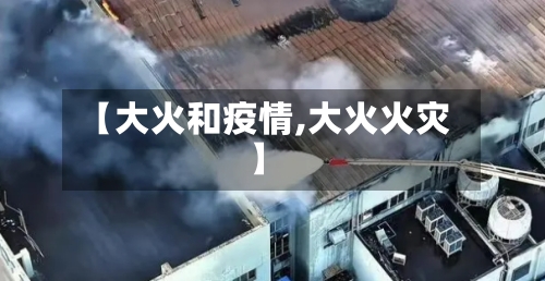 【大火和疫情,大火火灾】-第2张图片