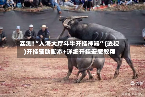 实测!“人海大厅斗牛开挂神器”(透视)开挂辅助脚本+详细开挂安装教程-第2张图片