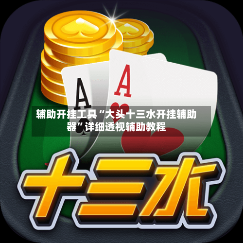 辅助开挂工具“大头十三水开挂辅助器	”详细透视辅助教程-第2张图片