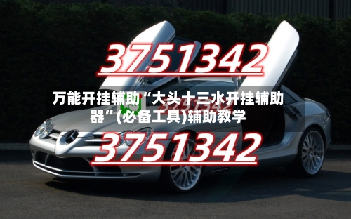 万能开挂辅助“大头十三水开挂辅助器”(必备工具)辅助教学-第2张图片