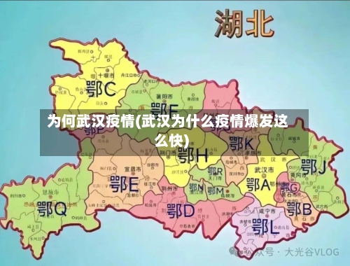 为何武汉疫情(武汉为什么疫情爆发这么快)