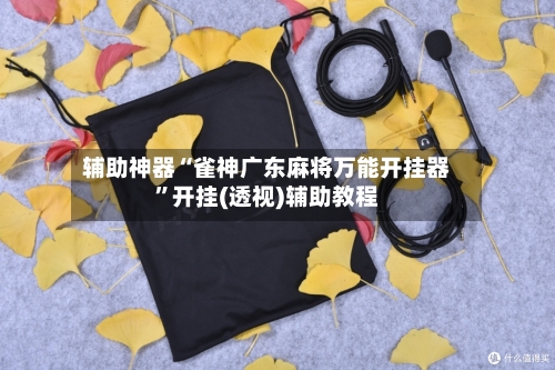 辅助神器“雀神广东麻将万能开挂器”开挂(透视)辅助教程-第3张图片