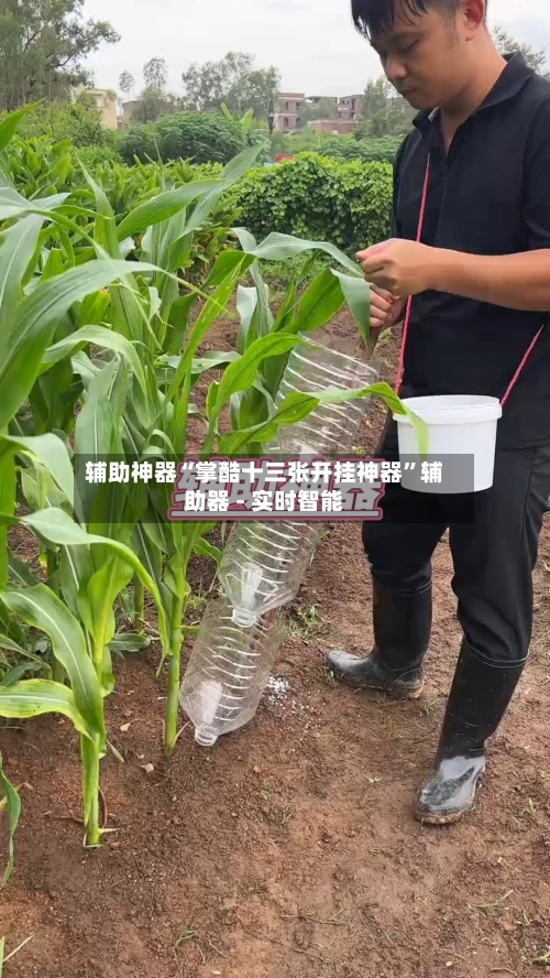 辅助神器“掌酷十三张开挂神器”辅助器 - 实时智能