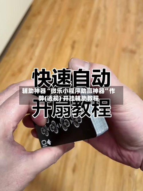 辅助神器“微乐小程序助赢神器”作弊(透视) 开挂辅助教程-第3张图片