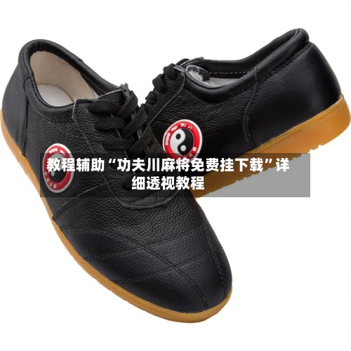 教程辅助“功夫川麻将免费挂下载”详细透视教程-第3张图片