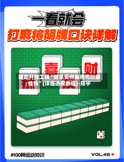 辅助开挂工具“微乐贵州麻将可以装挂吗	”(详细透视教程)-知乎-第2张图片