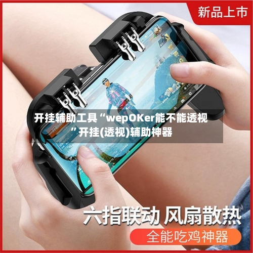 开挂辅助工具“wepOKer能不能透视”开挂(透视)辅助神器