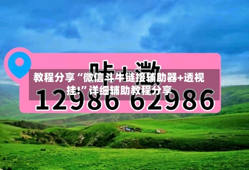 教程分享“微信斗牛链接辅助器+透视挂!”详细辅助教程分享-第3张图片