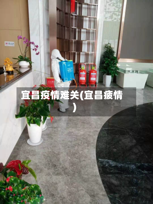 宜昌疫情难关(宜昌疲情)-第3张图片